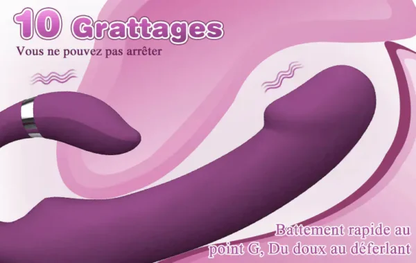 Palos Stimulateur Prostatique 7 Vibrations & 7 Va-et-vient – Image 2