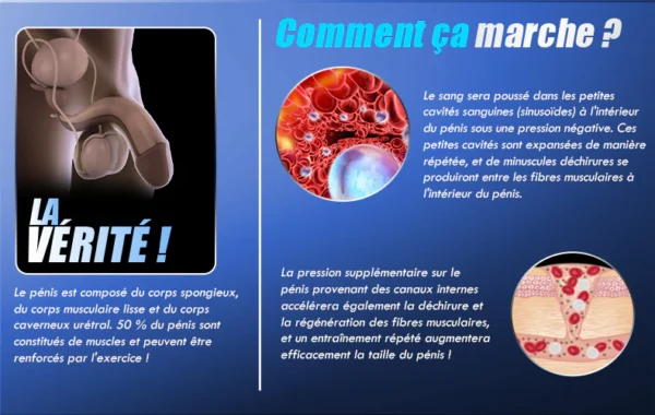 Masseur de prostate 9 Vibration & 9 va-et-vient de billes & 9 tapotements avec cockring – Image 5